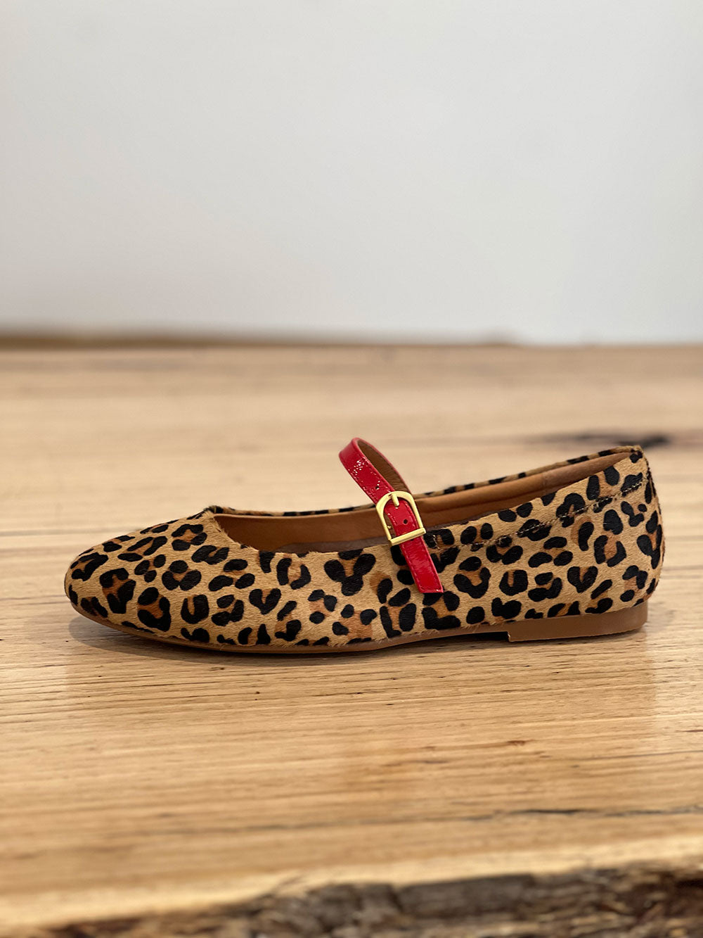 Passy Ballet Flat