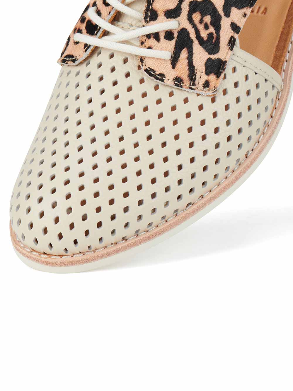 Derby Sidecut Punch Bone/Leopard